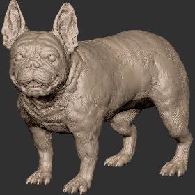 231 狼 狗 犬 斗牛犬 恶霸犬 STL 手办 3D扫描 3D打印 雕像 高模 雕塑 zbrush